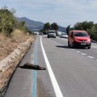 Jabalí en la cuneta después de ser atropellado.