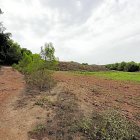 Los terrenos en los que se quiere construir el nuevo complejo deportivo de Llevant.