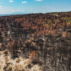 Zona cremada de l'incendi de Paüls.