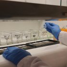 Una investigadora analiza muestras en el Institut de Recerca de Sant Pau.