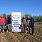 Les novetats d'aquesta primera edició del Calçofest s'han presentat a un camp de calçots de la IGP Calçot de Valls.