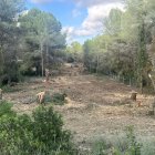 En el trazado se habilitará una calle