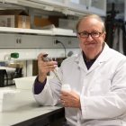 El doctor Josep Lluís Domingo en el laboratorio de la Facultat de Medicina de la URV. Imagen de archivo