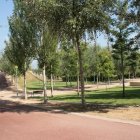 El objetivo principal de esta actuación es incrementar las zonas de sombra