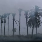 Fuerte tormenta registrada este jueves en La Foia, en Elx