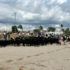 Las cabras en la playa de Cunit.