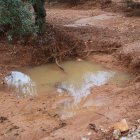 Una finca de Freginals llena de barro.