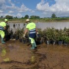 Inundaciones en Amposta.