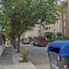 Los bomberos han revisado el ejambre.