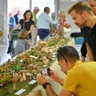 Los más curiosos han podido descubrir decenas de setas distintas en la exposición