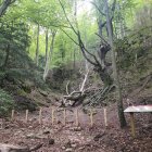 La tanca instal·lada a l'arbre.