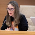 La presidenta de la Asociación Víctimas Mortales DANA 29-O, Rosa María Álvarez Gil, durante la comparecencia