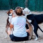 El centro acoge  los animales encontrados en la calle.
