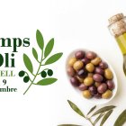 Les jornades són aquest cap de setmana