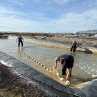 Capturant els peixos de la bassa per mesurar-los.