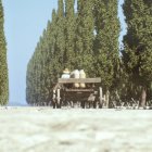 Transporte de ánforas por unas de las calzadas del Imperio Romano