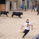 Imatge d'arxiu d'uns bous a la població de Xerta.