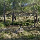 Treballs de prevenció d'incendis, aquest dimecres a Tivenys