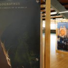 La exposición puede encontrarse en el Aula de Actividades del museo hasta el 8 de febrero