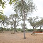 El Parc de Famílies, al polígonm AgroReus.