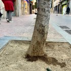 Quedará prohibido que los animales orinen en alcorques con vegetación o en cualquier tipo de mobiliario urbano