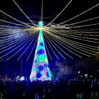 El árbol gigante que preside el Parc de la Riera, en Vila-seca.