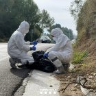 Efectivos del cuerpo d'Agents Rurals trabajando en el Parc Natural de Collserola.