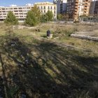 Els operaris han començat a desbrossar la vegetació aquesta setmana