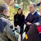 Los Agents Rurals elevan a 50 los jabalíes encontrados muertos