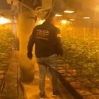 Un agente de los Mossos, dentro de la granja de La Sénia.