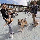 La iniciativa tendrá lugar este sábado con el objetivo de promover la adopción responsable y dar visibilidad a los perros que actualmente esperan una familia