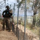 Dos agentes rurales revisan las vallas instaladas en una zona forestal de Rubí