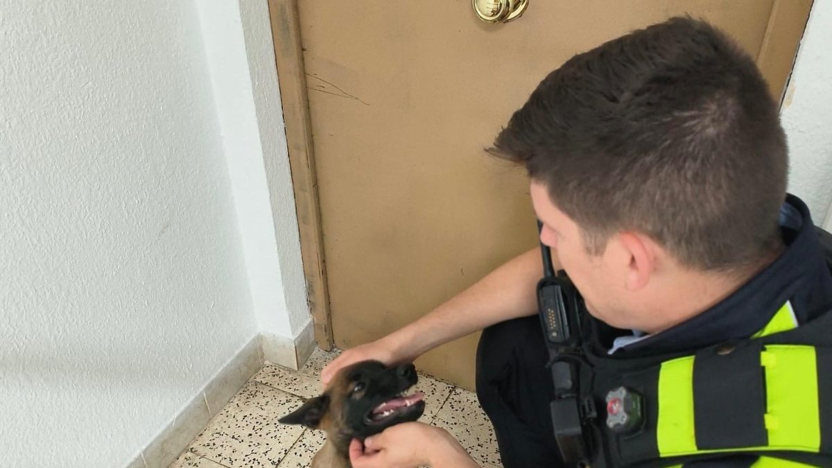 Uno de los agentes de la Urbana acariciando al perro rescatado en Sant Pere i Sant Pau.