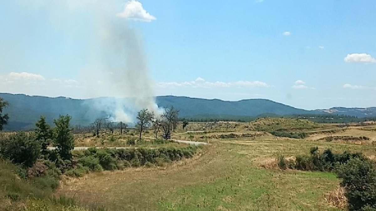 El incendio forestal de la Plana de la Maçana.
