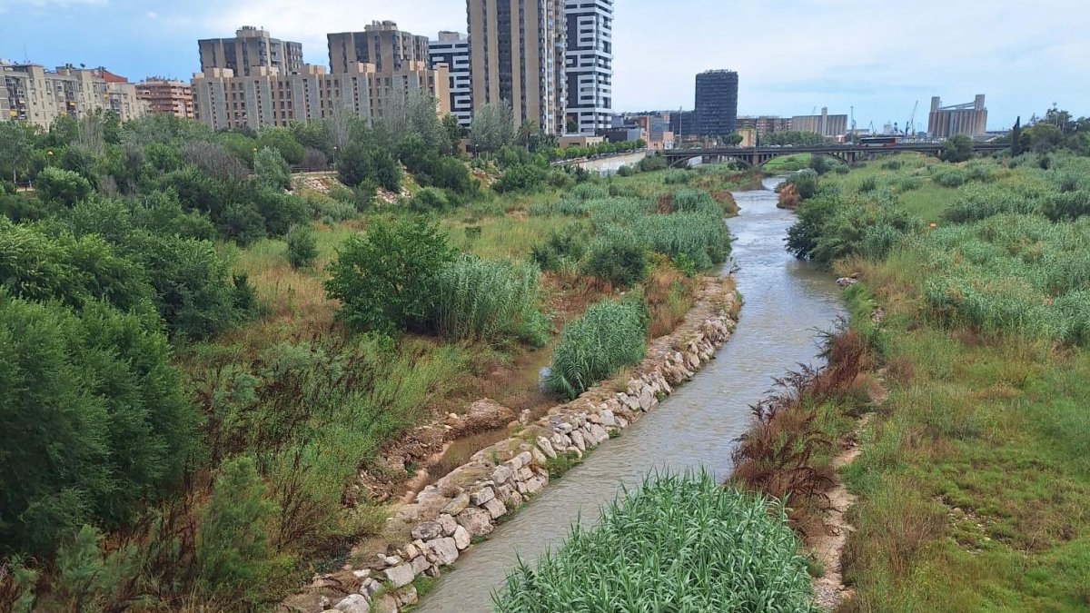 El río Francolí volvió a bajar con agua abundante tras las tormentas de este fin de semana.