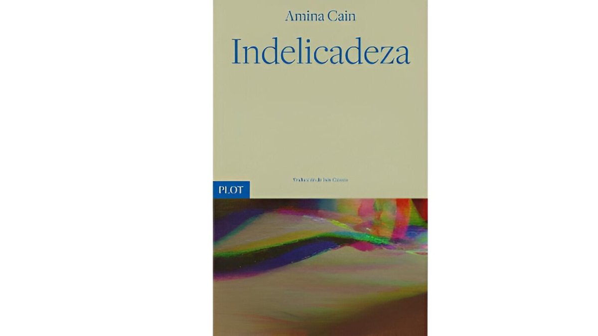 Portada del libro 'Indelicadeza' de Amina Cain