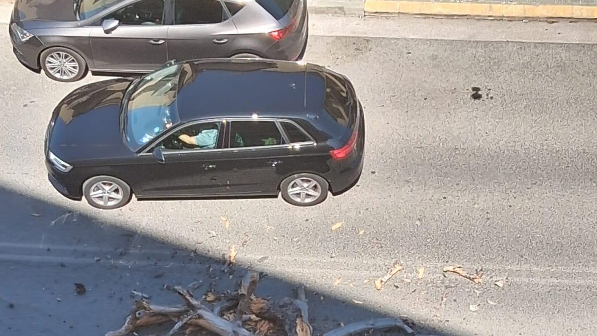 El árbol ha quedado entre dos coches  y llegado a la calzada.