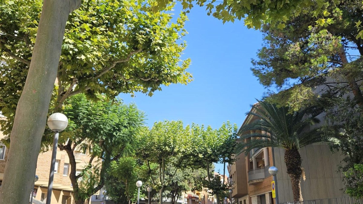 Aspecto de la avenida Verge de Montserrat de Vila-seca, tras las obras de mejora.