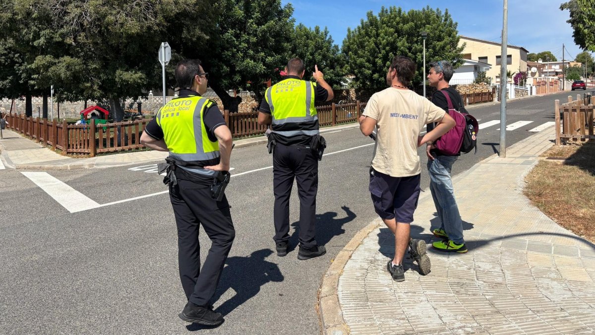 Campaña de control de plagas de la Policia Local de Torredembarra en la zona Marítima Nord.