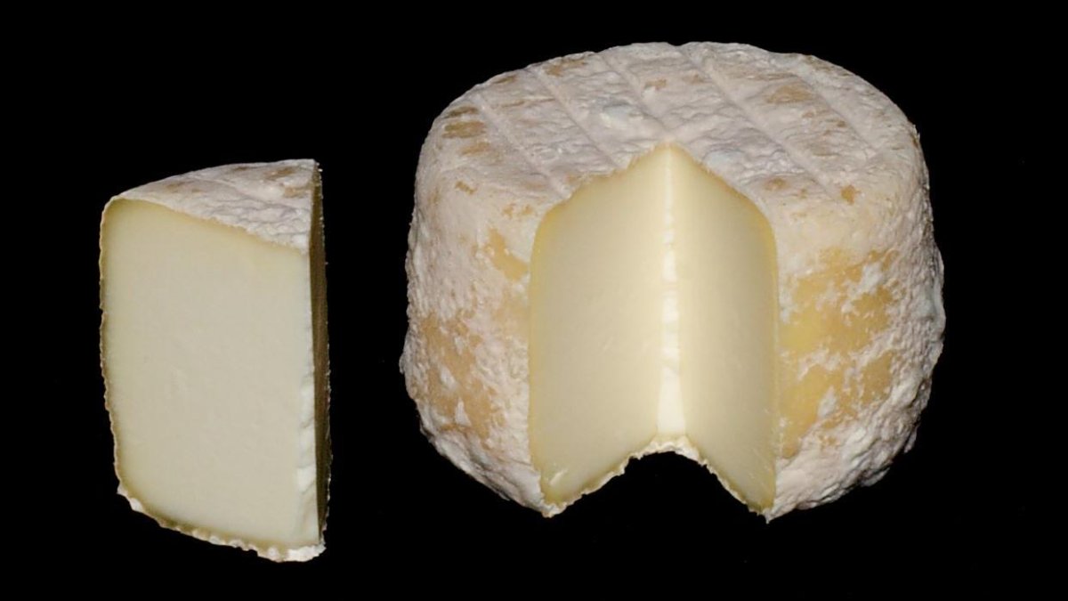 Queso Crottin de Chavignol.