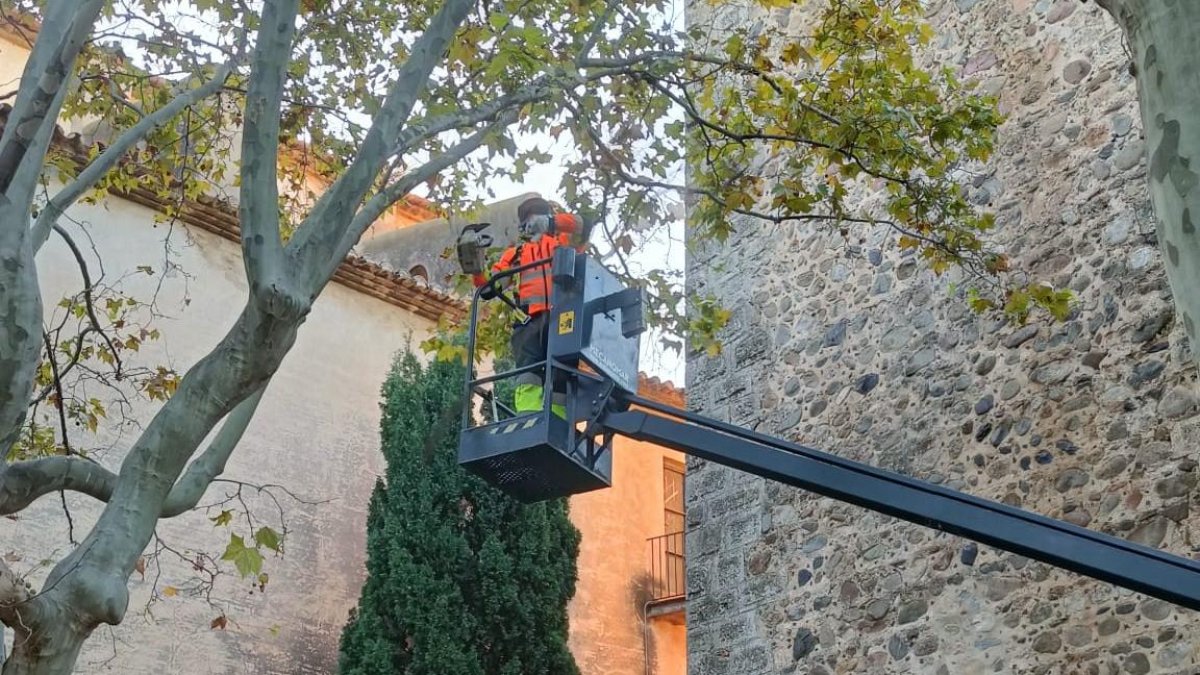 Mientras duren las obras, la Torre de la Ermita permanecerá cerrada al público como medida preventiva