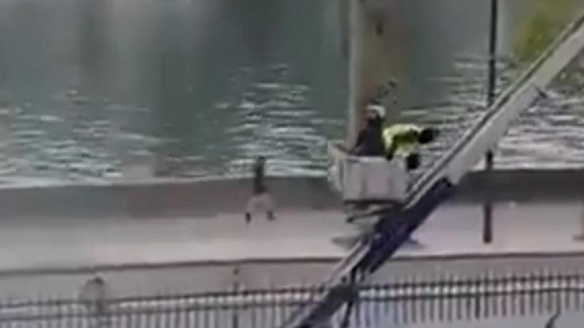 Imagen de la escalera mecánica usada en el robo de joyas del Louvre