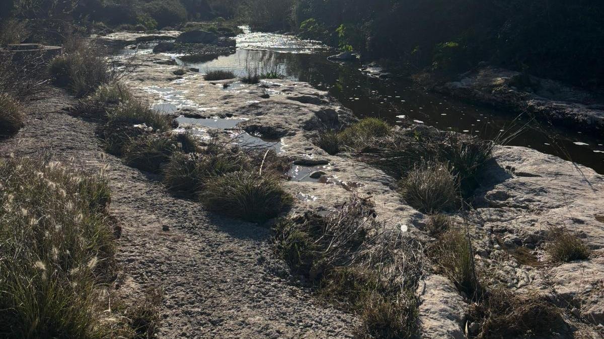 La fuga es por la rotura de un colector.