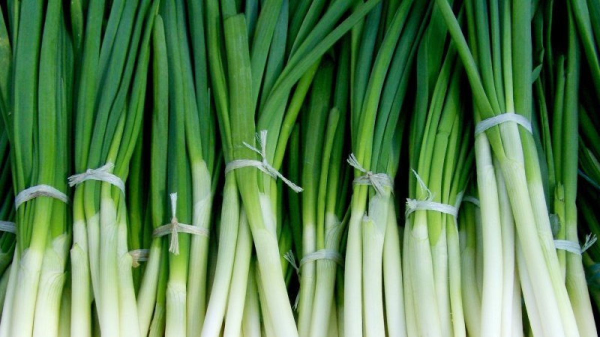 Escapadas con sabor a calçots y romesco