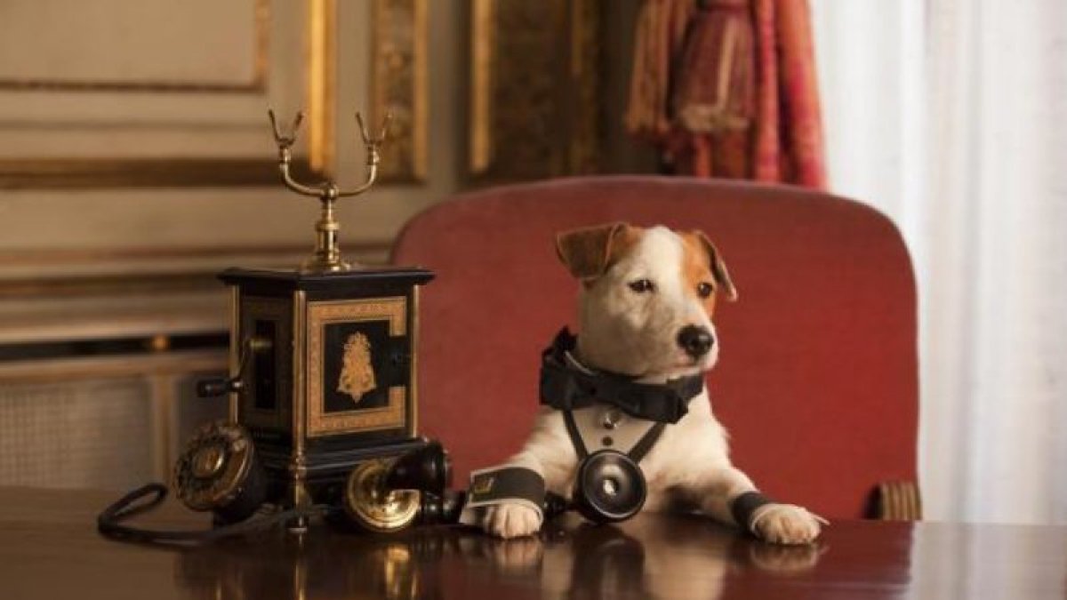 Pancho, el perro de la Lotería