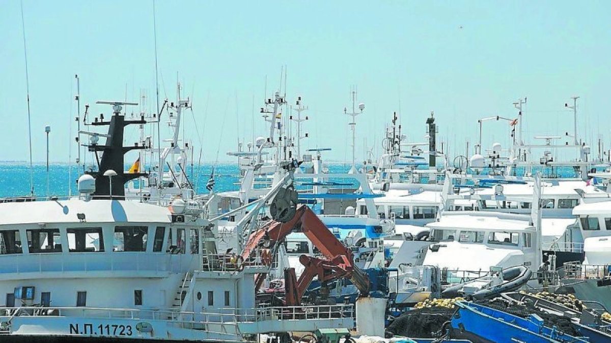 La flota tonyinaire amb base a l´Ametlla de Mar ha iniciat la campanya de pesca.