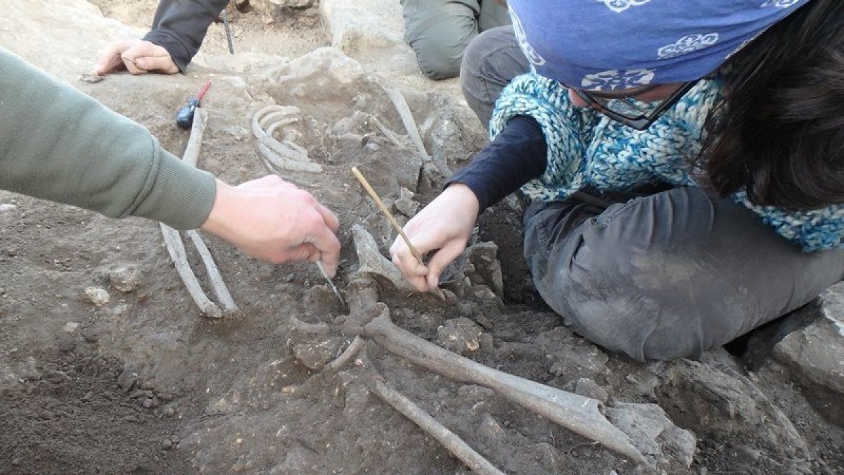 Estudiants excavant les restes humanes del segle III aC al jaciment ibèric de Nulles.