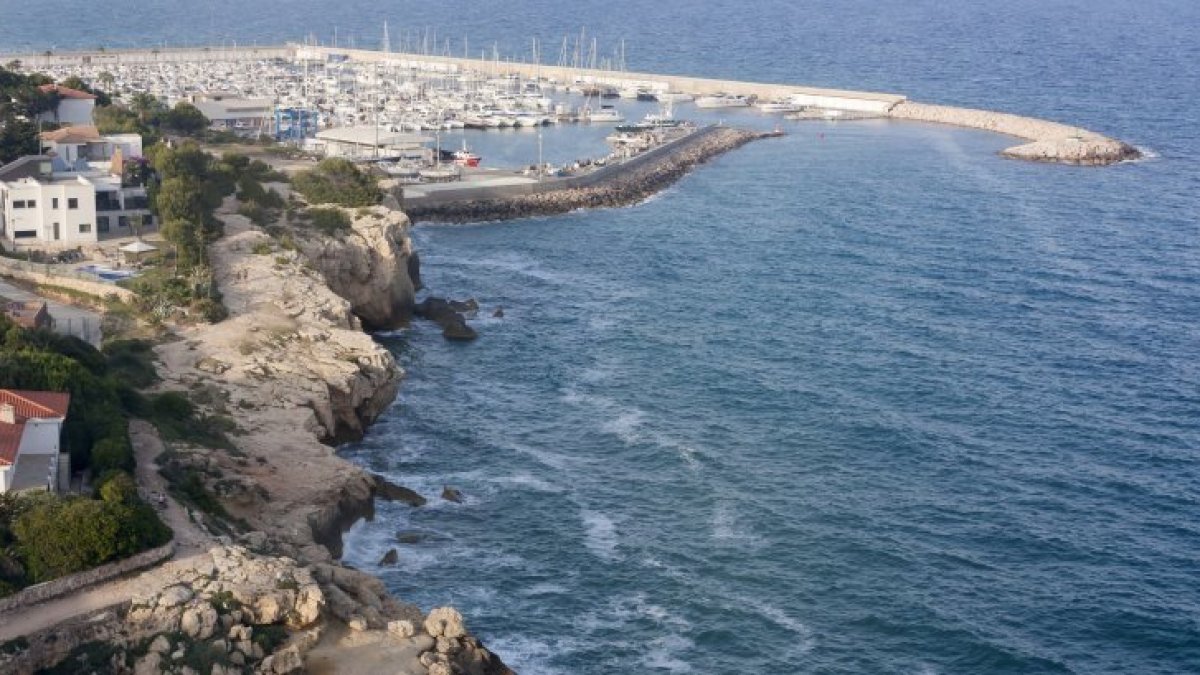 Rescatan a una remera herida en el puerto