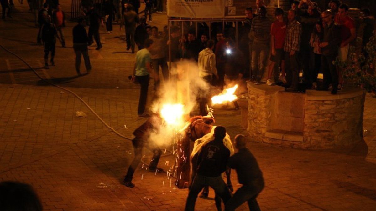 Imatge d'arxiu dels espectacles de bou embolat celebrats a Aldover.