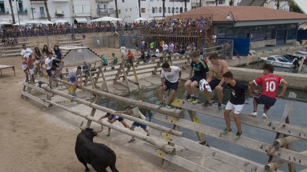 Una jornada de bous a les Cases d'Alcanar de fa un any.